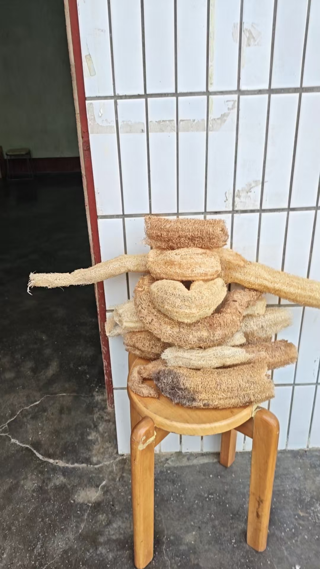 丝瓜瓤